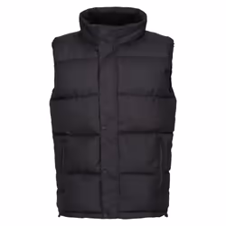 Regatta Professional - Veste sans manches - Homme (Noir)