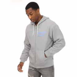 Levis - Sweat à capuche - Homme (Gris)