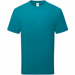 Fruit of the Loom - T-shirt - Adulte (Bleu sarcelle)