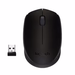 Logitech M171 Black-K, Ambidextre, Optique, RF sans fil, 1000 DPI, Noir