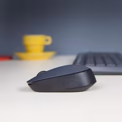 Logitech M170 Grey-K souris Ambidextre RF sans fil Optique 1000 DPI