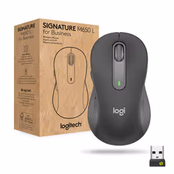 Logitech Signature M650 for Business, Droitier, Optique, RF sans fil + Bluetooth, 4000 DPI, Graphite