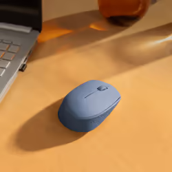 Logitech M171 souris Ambidextre RF sans fil Optique