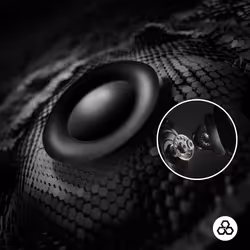 Logitech G PRO X 2 Noir - Vue supplémentaire 4