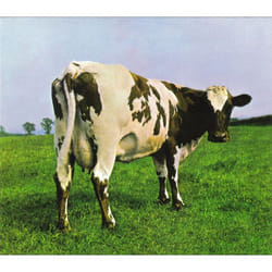 Warner Music Atom Heart Mother (Discovery) CD Prog rock Pink Floyd