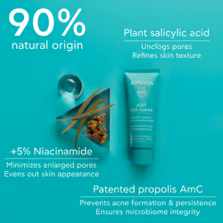 Just Bee Clear Gel-crème hydratant matifiant anti-imperfections pour peaux grasses 40 ml