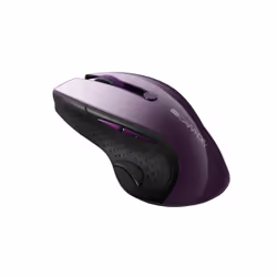 Canyon CNS-CMSW01P souris Droitier RF sans fil Optique 1600 DPI
