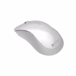 Canyon CNE-CMSW11PW souris Droitier RF sans fil Optique 1200 DPI