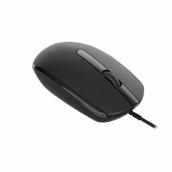 Canyon M-10 souris Ambidextre USB Type-A Optique 1000 DPI