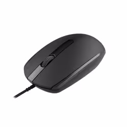 Canyon M-10 souris Ambidextre USB Type-A Optique 1000 DPI