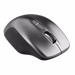 Canyon MW-21, Droitier, Optique, RF sans fil, 1600 DPI, Graphite
