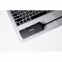 Canyon DS-15 USB 3.2 Gen 1 (3.1 Gen 1) Type-C Gris