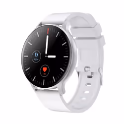 Canyon CNS-SW68SS smartwatche et montre de sport LCD Numérique Écran tactile Argent