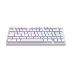 Clavier mécanique de jeu - DARK PROJECT - ALU Terra Nostra - Blanc - PBT durable - Interchangeable à chaud