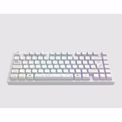 Clavier mécanique de jeu - DARK PROJECT - ALU81 Terra Nova - Sans fil - Aluminium - ISO DE