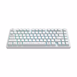 Clavier mécanique de jeu - DARK PROJECT - ALU Terra Nova - Sans fil - Blanc - G3MS Moonstone