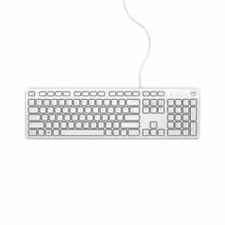 DELL KB216, Taille réelle (100 %), USB, AZERTY, Blanc