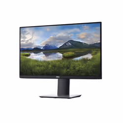 DELL P2421DC LED display 23.8" Quad HD LCD Noir