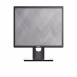 DELL P Series P1917S
