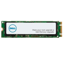 DELL AA615517 disque SSD M.2 256 Go SATA