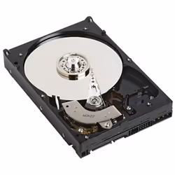 DELL NPOS - to be sold with Server only - 1TB 7.2K RPM SATA 6Gbps 512n 3.5in Cabled Hard Drive, 3.5", 1 To, 7200 tr/min