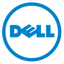 DELL 634-CVDQ système d'exploitation 10 licence(s)