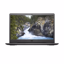 DELL Vostro 3501 i3-1005G1 15.6" HD 4Go 1To HDD Noir