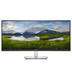 DELL P Series Écran incurvé 34 USB-C - P3421W