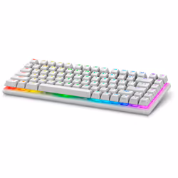 Alienware Pro Wireless Gaming Keyboard, 75%, USB + RF Wireless + Bluetooth, Clavier mécanique, LED RGB, Blanc