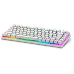 Alienware Pro Wireless Gaming Keyboard clavier USB + RF Wireless + Bluetooth Blanc