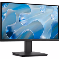 DELL SE2225HM, 54,6 cm (21.5"), 1920 x 1080 pixels, Full HD, LCD, 8 ms, Noir