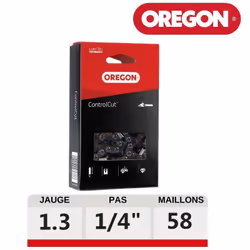 Chaine tronçonneuse ControlCut 25AP058E 1/4" .050 58 dents La chaine de tronçonneuse 25AP058E fait partie de la gamme Control ...