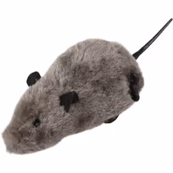 Jouet souris Asher 17 cm grand modèle pour chat souris remontable ainsi elle avance toute seule couleur aléatoire couleur bla ...