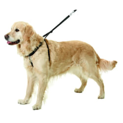 Flamingo Harnais Easy Walker XL