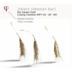 Du Treuer Got Leipzig Cantatas BWV 101-115-103