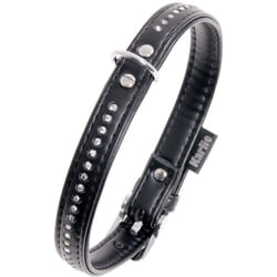 Collier Chien Flamingo alp Monte Carlo Noir 24cm