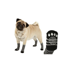 Flamingo - Striped Pet Socks Striped Socks Striped Socks stocks l l l links