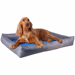 Panier pour chien rafraîchissant rectangle Flamingo Fresk