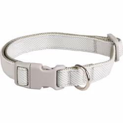 Collier Small dog vert . pour chiot. dimension longueur réglable de 25 à 43 cm x 15 mm. couleur vert très clair et gris. Coll ...