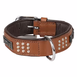 Collier Cuir SEDONA brun taille S/M 31-35 cm pour chien. - Flamingo