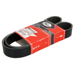 Courroie trapézoïdale à nervures GATES 10PK1225HD