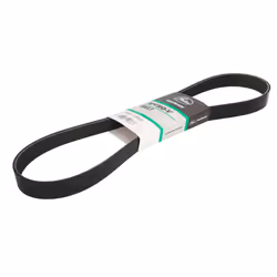 Courroie trapézoïdale à nervures GATES 8PK1128HD