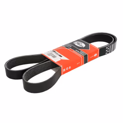 Courroie trapézoïdale à nervures GATES 8PK1630HD