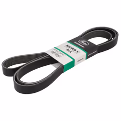 Courroie trapézoïdale à nervures GATES 8PK2710HD