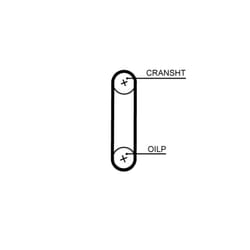 Courroie de distribution GATES PowerGrip™ T351HOB