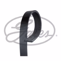 Courroie trapézoïdale à nervures GATES 6PK1380HD