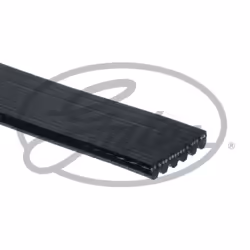Courroie trapézoïdale à nervures GATES 6PK1380HD