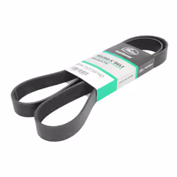 Courroie trapézoïdale à nervures GATES 8PK1531SFHD