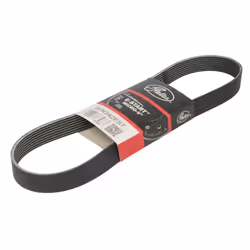 Courroie trapézoïdale à nervures GATES 8PK942EST