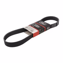 Courroie trapézoïdale à nervures GATES 8PK954EST